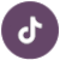 social tiktok logo